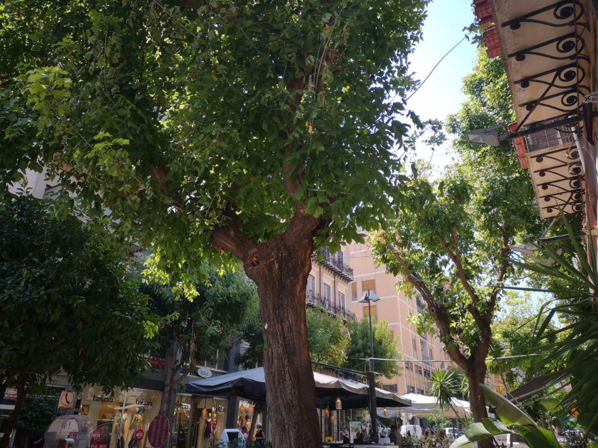 La Casa Dolce Bed & Breakfast Palermo Eksteriør bilde